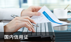 国内信用证